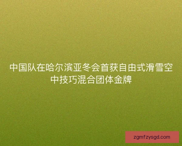 中国队在哈尔滨亚冬会首获自由式滑雪空中技巧混合团体金牌