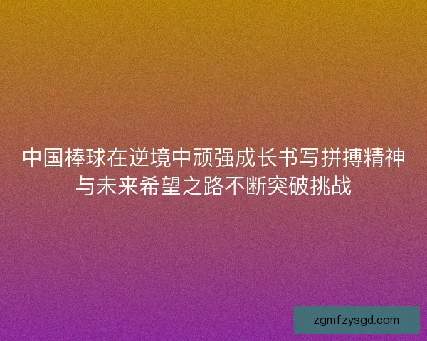 中国棒球在逆境中顽强成长书写拼搏精神与未来希望之路不断突破挑战